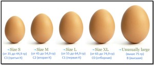 Те, що смак яєць залежить від забарвлення шкаралупи - це міф