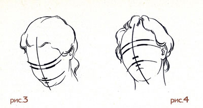 На малюнках 3 і 4 можна простежити, як при закинутою голові скорочуються її верхні форми за рахунок нижніх, а при опущеною голові спостерігається зворотне явище